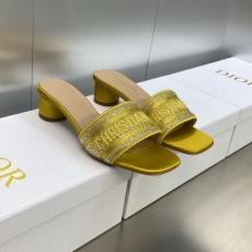 Christian Dior Slippers